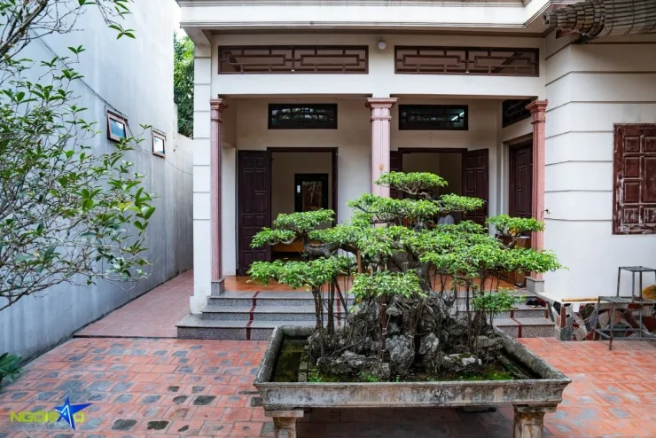ho-so-danh-thu-cau-thu-khuat-van-khang-la-ai-009a